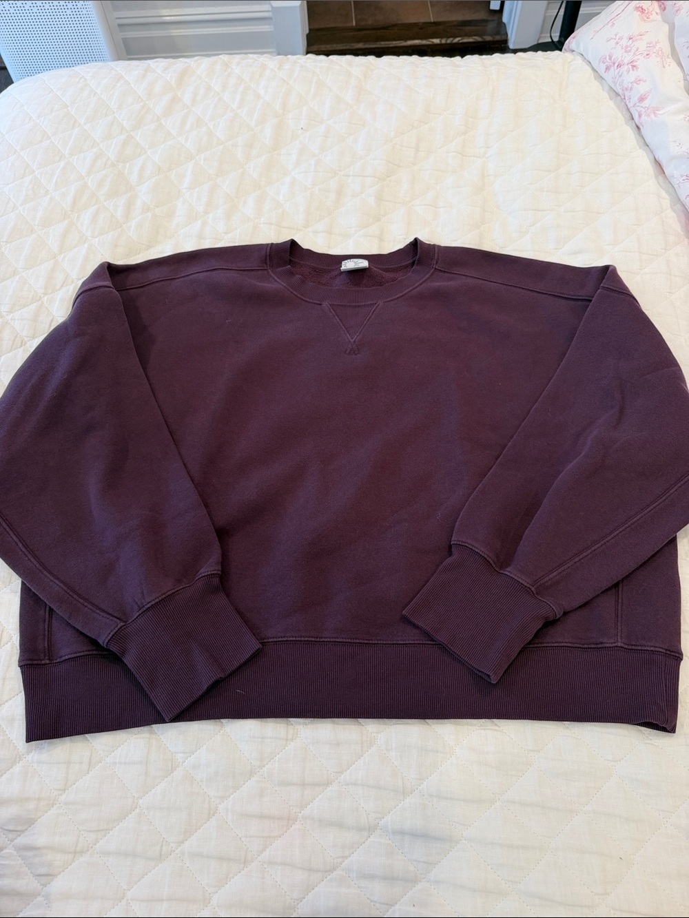 aerie Crewneck Sweatshirt in Plum